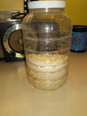 Homemade Shake and Bake in a jar