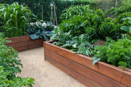 Beautiful raised garden beds filled with plants.