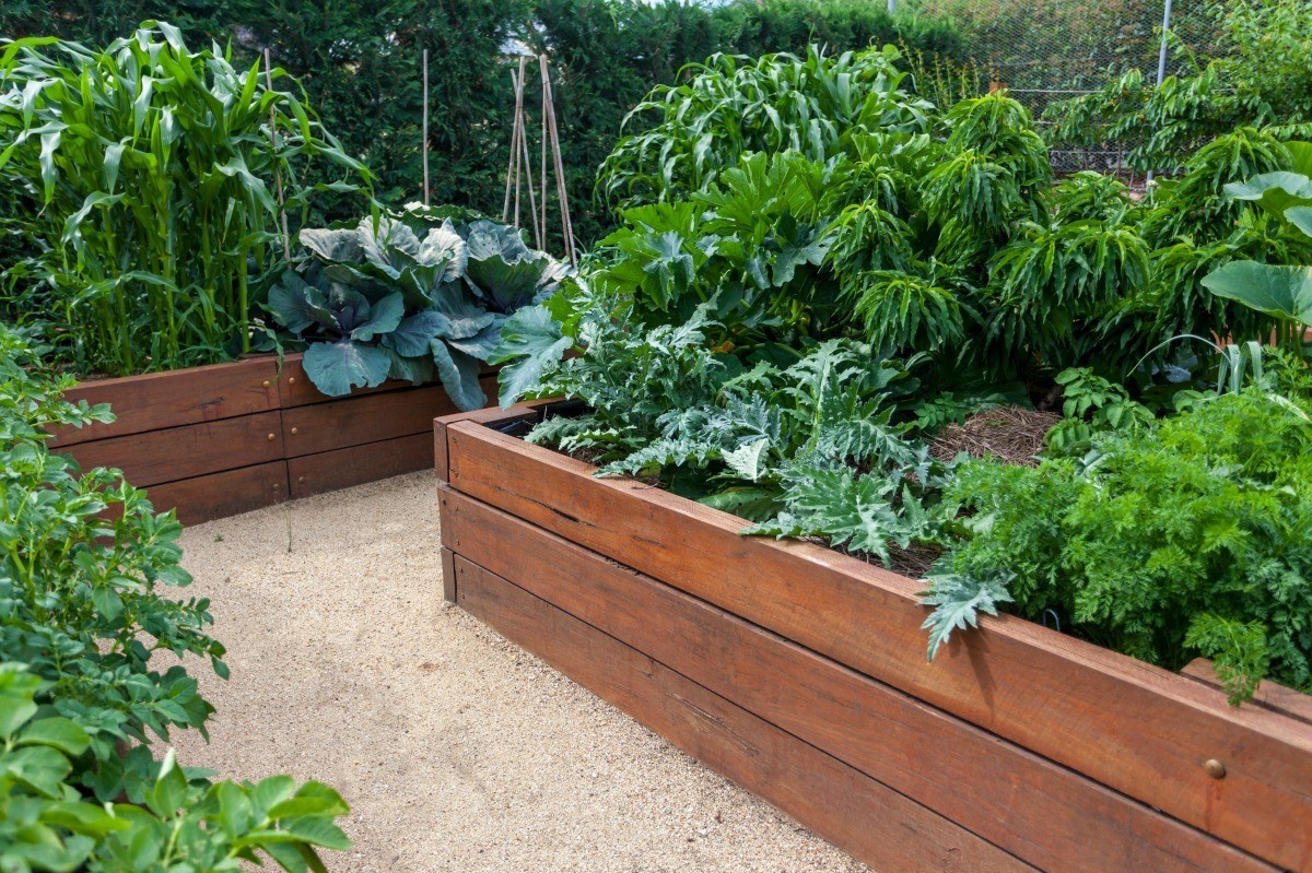 Directions For Building Simple Raised Beds Thriftyfun