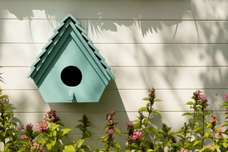 Birdhouse attached to the side of the house, surrounded by flowers.