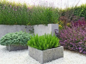 Rock floor garden, plants in concrete planters
