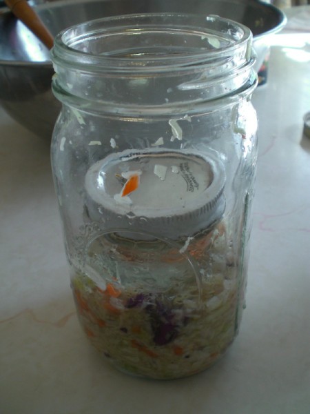 Coleslaw Sauerkraut Recipe | ThriftyFun