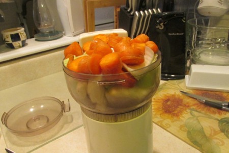 carrot in food processor