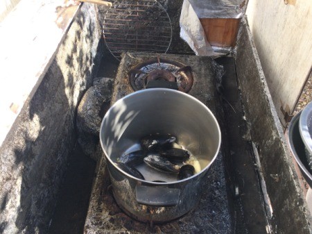 Green Mussels in pan