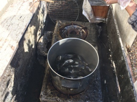 Green Mussels in pan