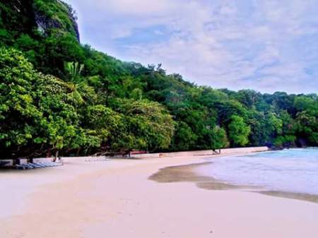 Serenity of White Sand Beach - stretch of beach with trees on shore