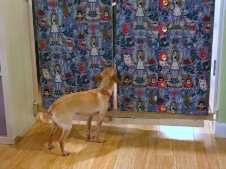 Fabric Cover for Baby Gate - Chihuahua at gate