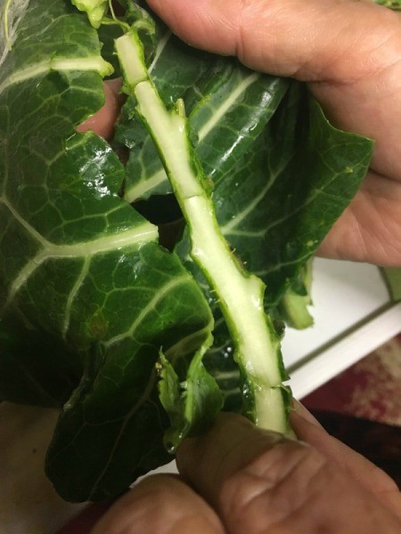 removing thick stem from kale