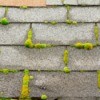 Moss on roof tiles.