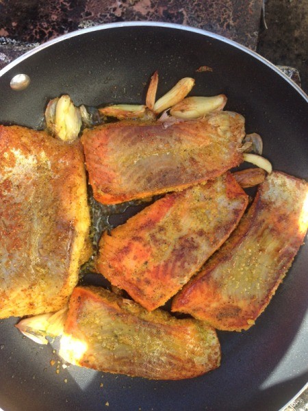 Salmon in pan with garlic