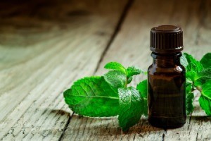 Peppermint essential oil bottle with a sprig of fresh mint.