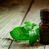 Peppermint essential oil bottle with a sprig of fresh mint.