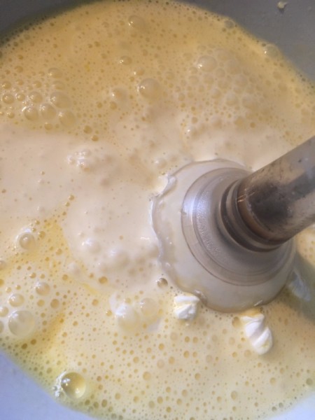 immersion blending ingredients