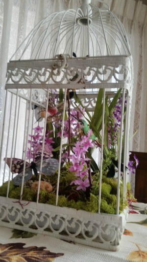 Bird Cage Floral Display