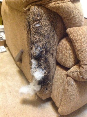 Repairing Recliner Upholstery  - upholstery shredded by cat