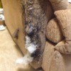 Repairing Recliner Upholstery  - upholstery shredded by cat