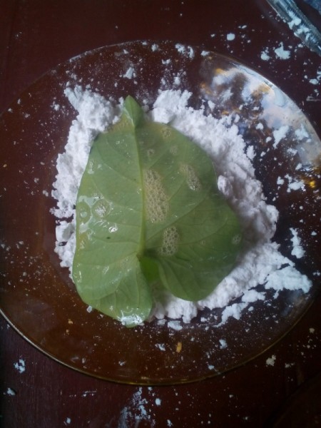 dipping egged water spinach leaf in corn starch