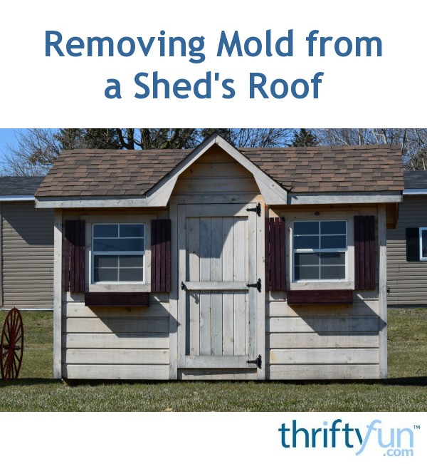 removing mold from a shed's roof thriftyfun