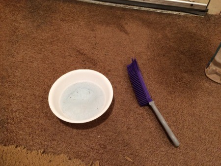 DIY Carpet Cleaner - mixture in bowl with scrub brush next to bowl sitting on carpet
