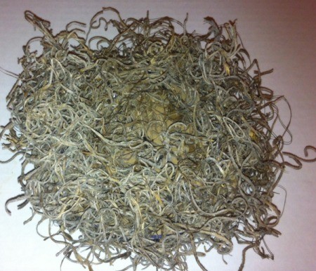 Robin's Nest Craft - glue craft moss to both sides, making it thicker on top with a depression for the eggs