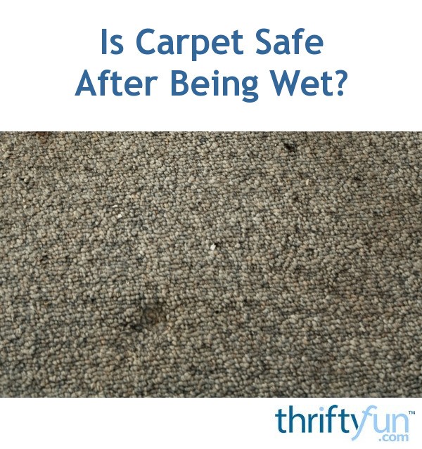 Is Carpet Safe After Being Wet? ThriftyFun