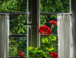 Curtains hung with string.