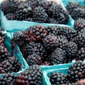 pints of blackberries
