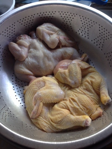 cleaned chicken in colander