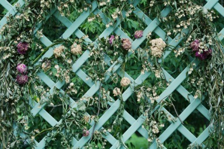 A garden trellis with flowers growing in it.