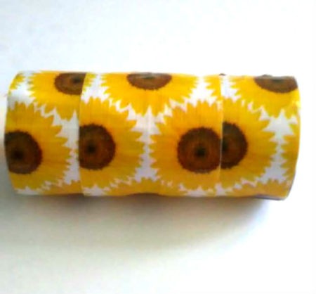 Cell Phone Amplifier  - tape wrapped tube