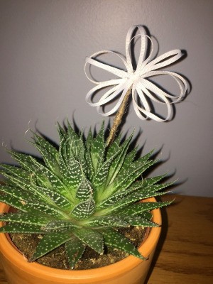 Ribbon Flowers - ribbon flower in pot with succulent