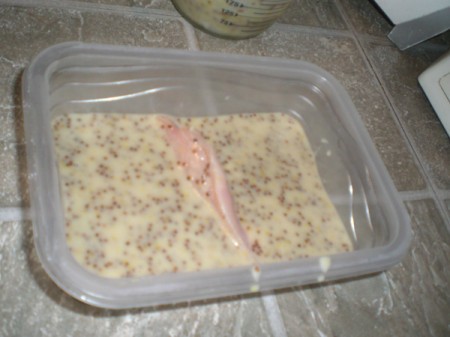 marinade in plastic container