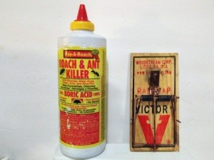 A bottle of roach and ant killer and a mousetrap to keep rodents away.