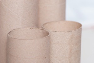 The cardboard cores from paper towel rolls.