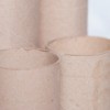 The cardboard cores from paper towel rolls.