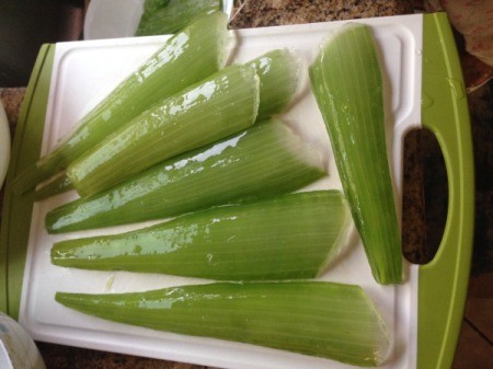 peeled aloe vera