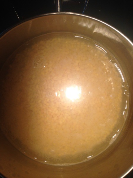 Mung Bean with Aloe Vera in pan