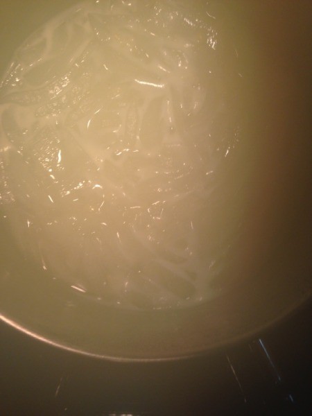 Mung Bean with Aloe Vera in pan