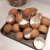 Eggshells for Your Garden - brown egg shells