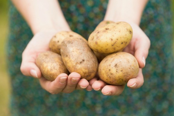 How Much Is 2 Pounds Of Potatoes In Cups