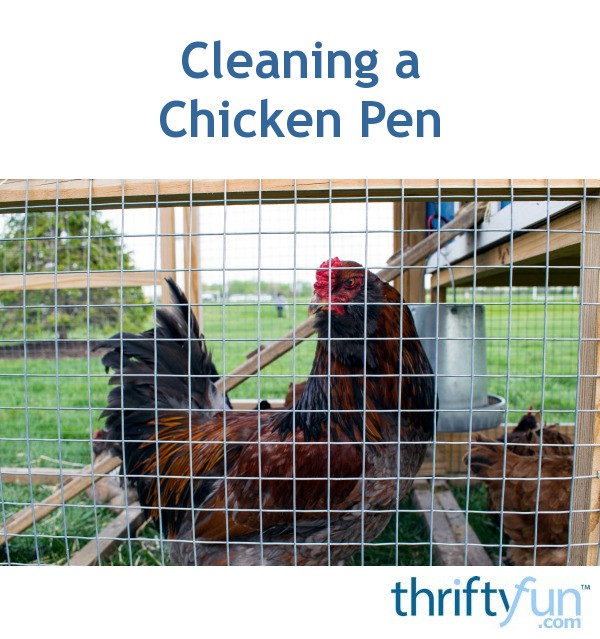 Cleaning a Chicken Pen? ThriftyFun