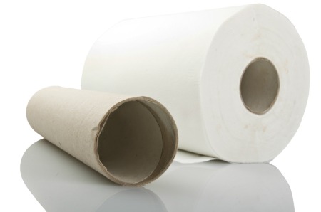 An empty cardboard paper towel roll next to a full roll of paper towels.