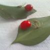 Identifying a Garden Plant - leaves and bright red berries