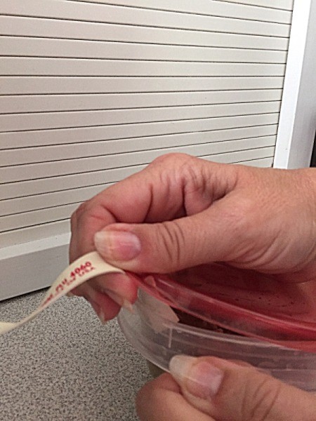 A plastic container with a rubber band sticking out, to help with opening.