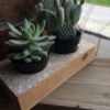 Easy DIY Plant Holder - cactus and succulents in pots sitting in plant holder