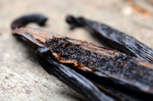 A vanilla bean that has been opened.