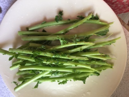 Kale stems on plate