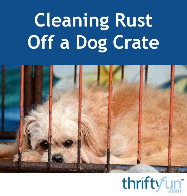 Cleaning Rust Off a Dog Crate? ThriftyFun