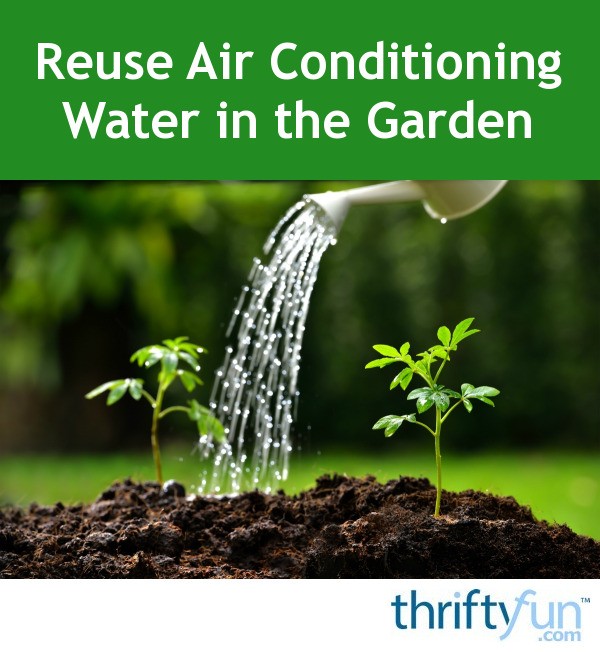Reuse Air Conditioning Water in the Garden ThriftyFun