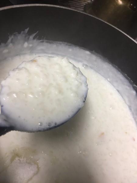 Rice Pudding mixed
